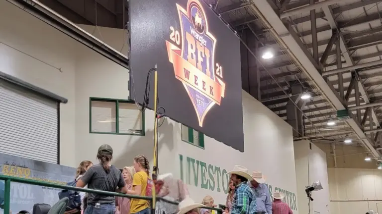 Suspended modular LED video wall installed inside an arena for a rodeo and sporting event.
